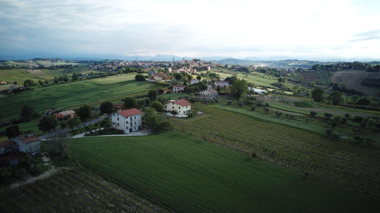 B&B Al Chicco D'Uva Morro dʼAlba Exterior foto